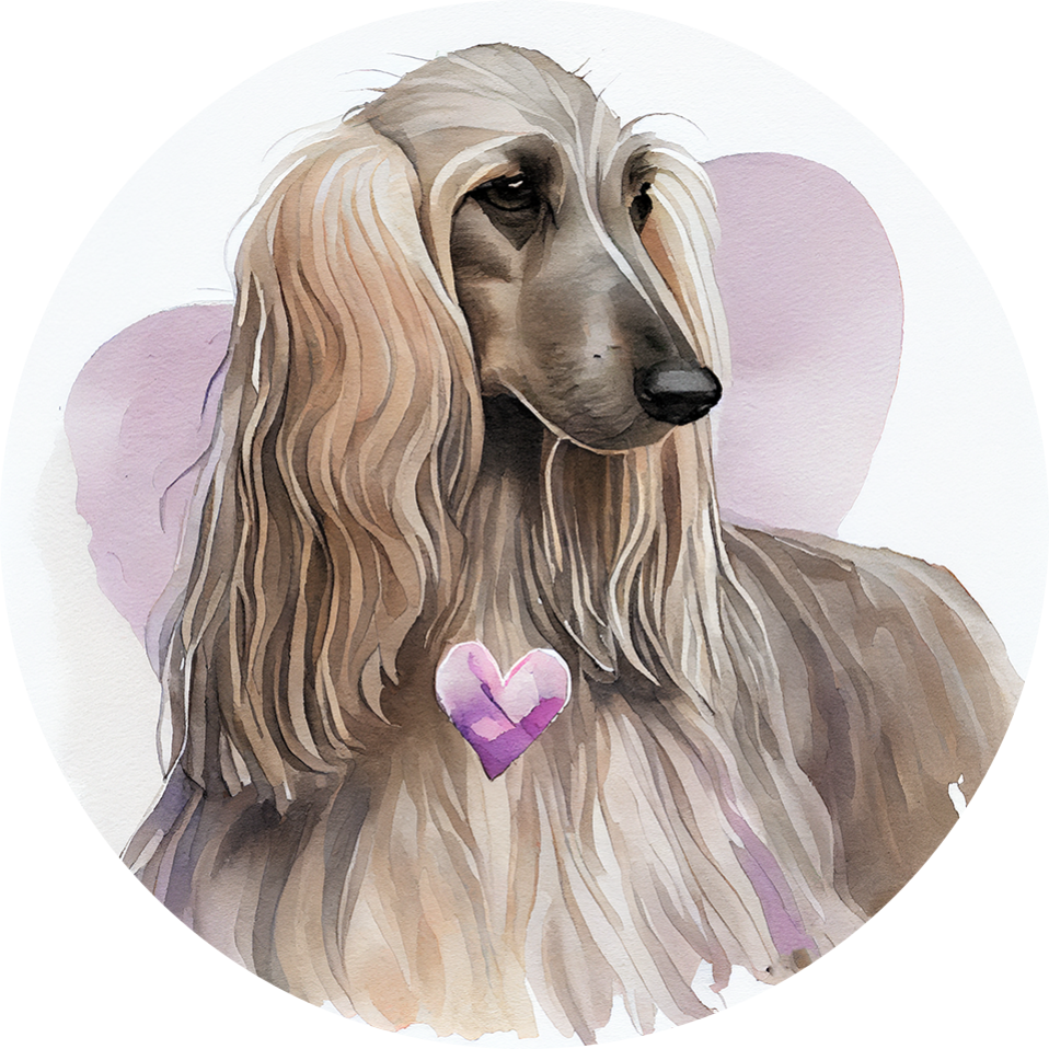 Afghan Hound  Air Freshener