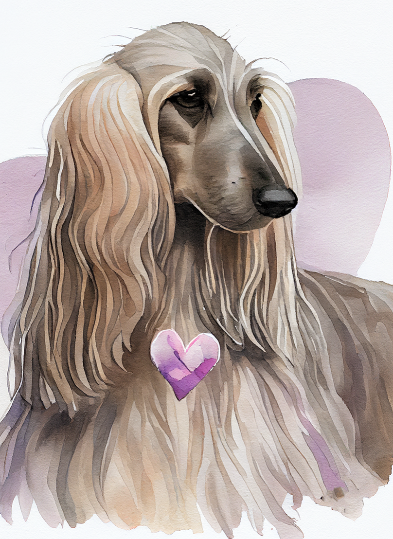 Afghan Hound  Air Freshener