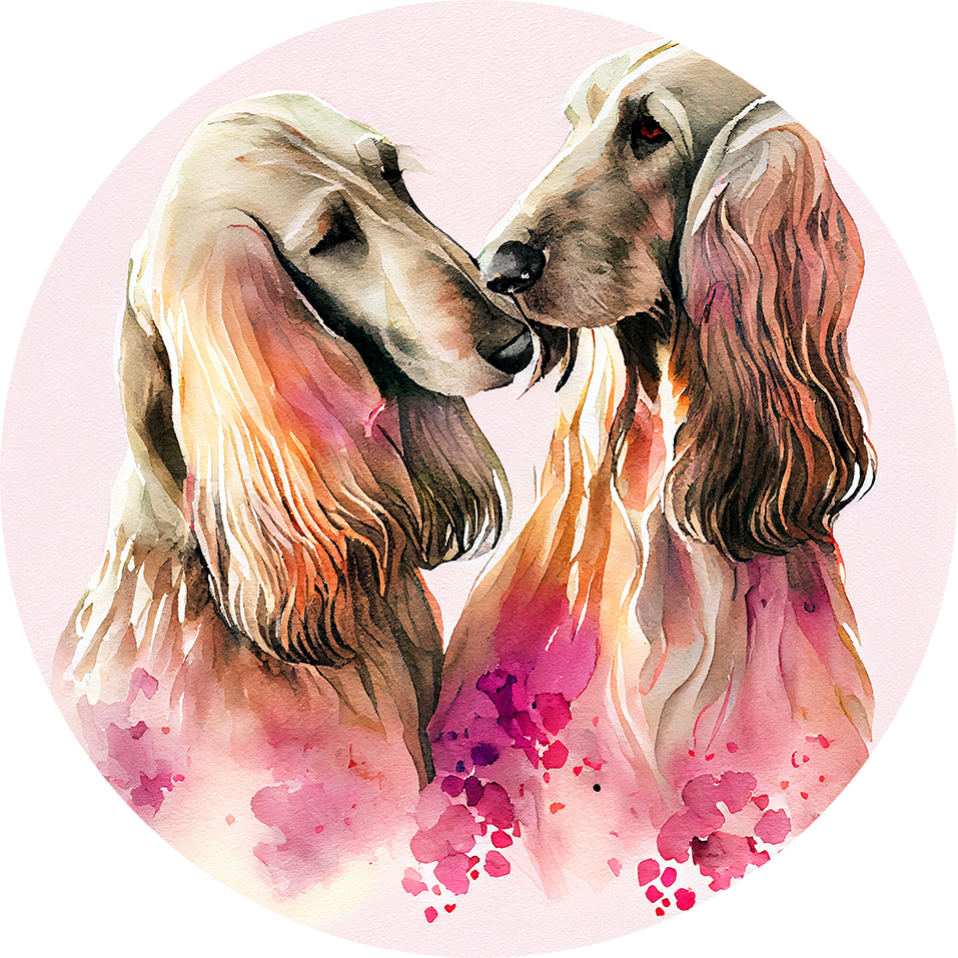 Afghan Hound  Air Freshener