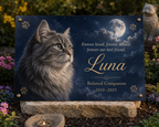 Custom Metal Photo Aluminum Plates — Memories That Last