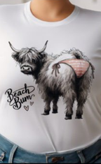 Attitude T-Shirt Collection