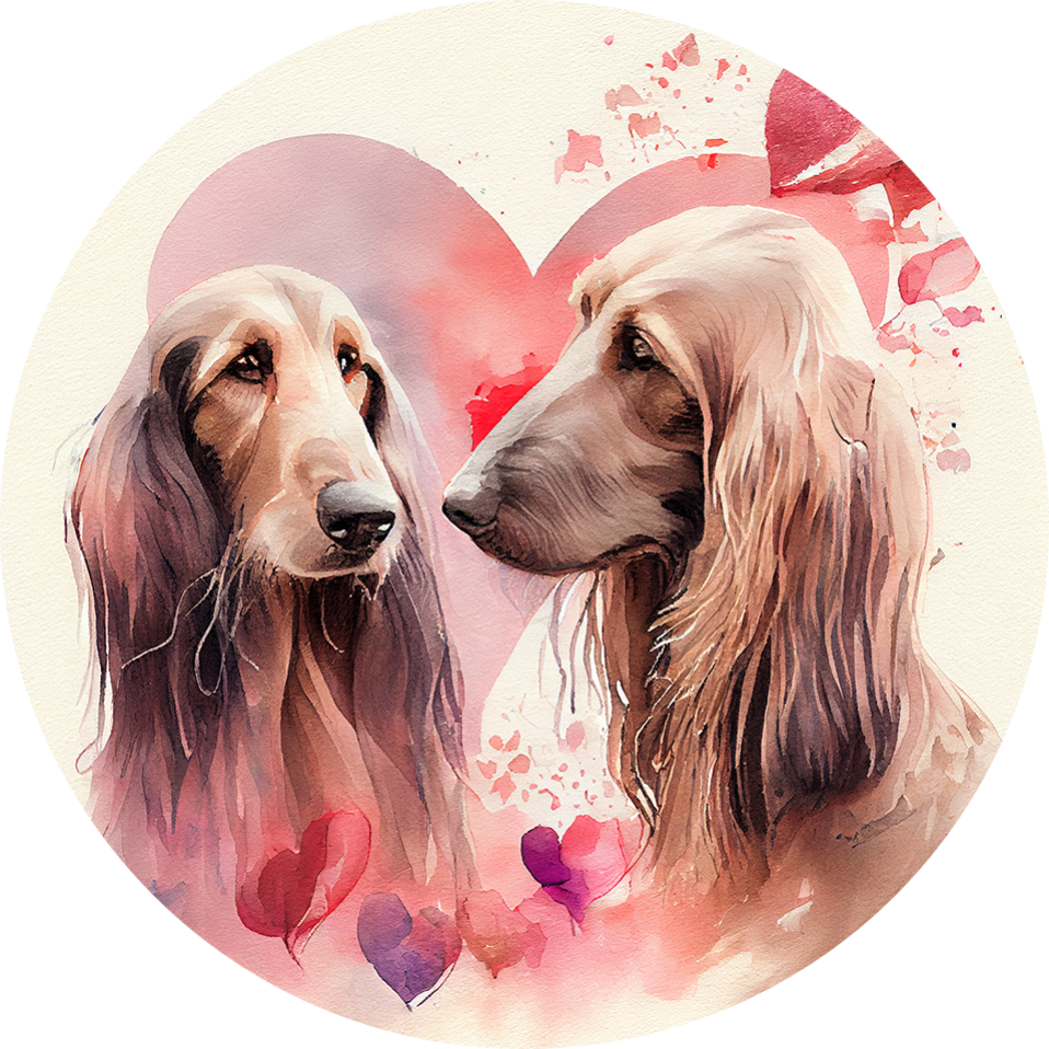 Afghan Hound  Air Freshener