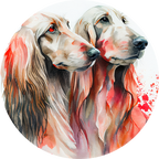 Afghan Hound  Air Freshener