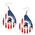 USA Flag
