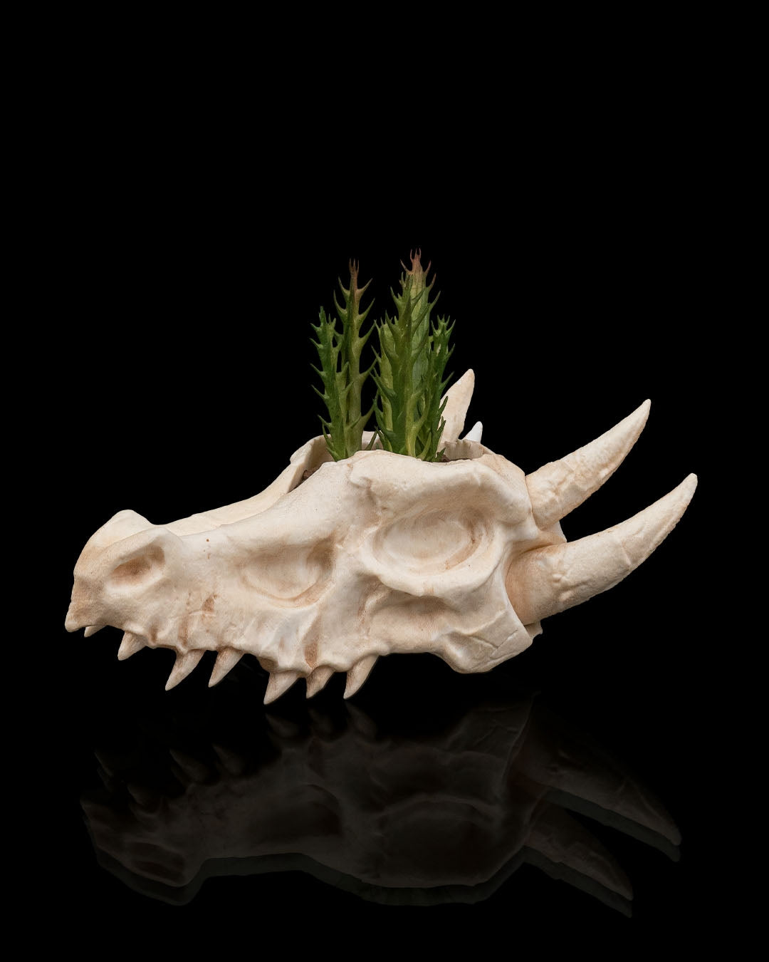 Deathroot - Planter