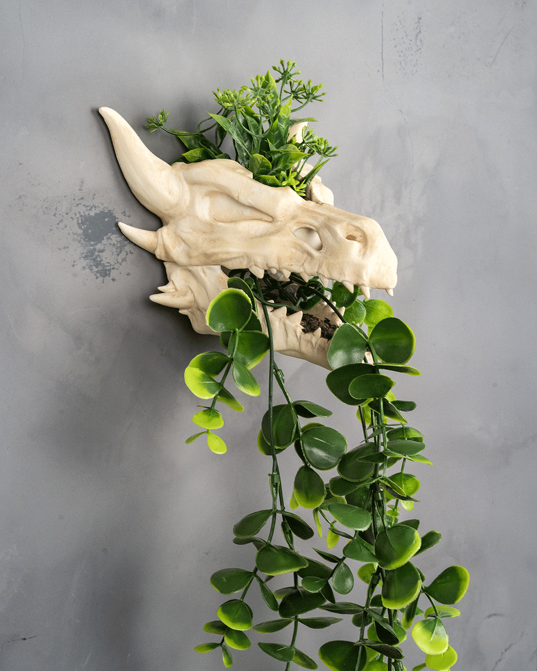 Drip & Decay - Planter