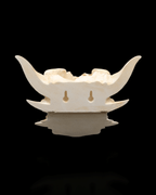 Drip & Decay - Planter