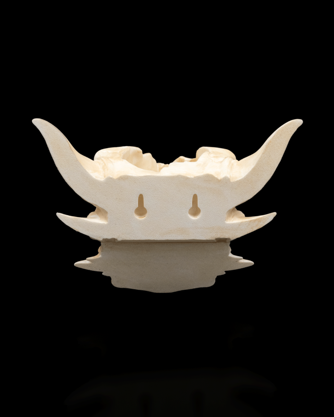 Drip & Decay - Planter