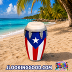 Conga International Collection