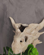 Drip & Decay - Planter